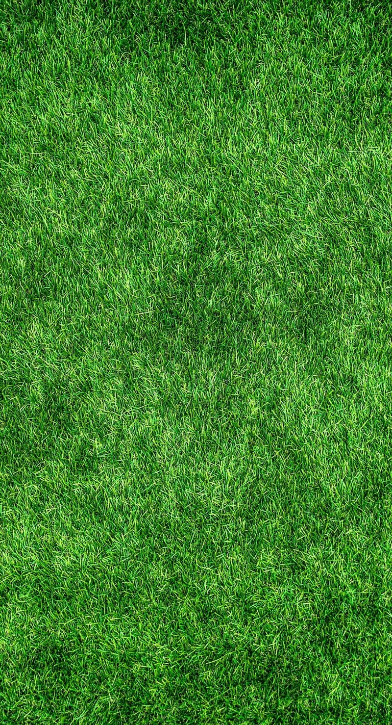 Eco-conscious suggestions